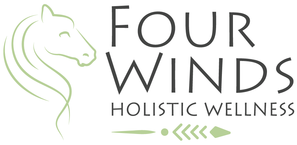 Four Winds Healing | The Equine Experience